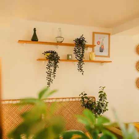 Haven - Joli - Centre De 캉