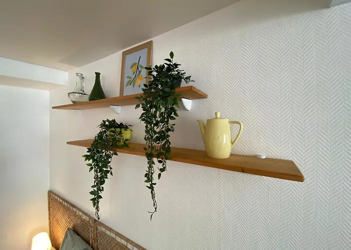 Haven - Joli - Centre De 캉